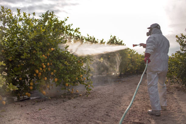 Professional Pest Control in Shawnee Hills, OH