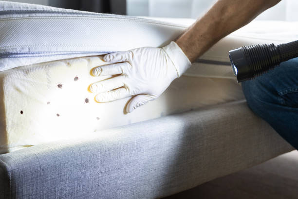Best Pest Removal Services  in Shawnee Hills, OH
